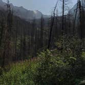 Review photo of Avalanche Campground — Glacier National Park by Harry H., October 1, 2017