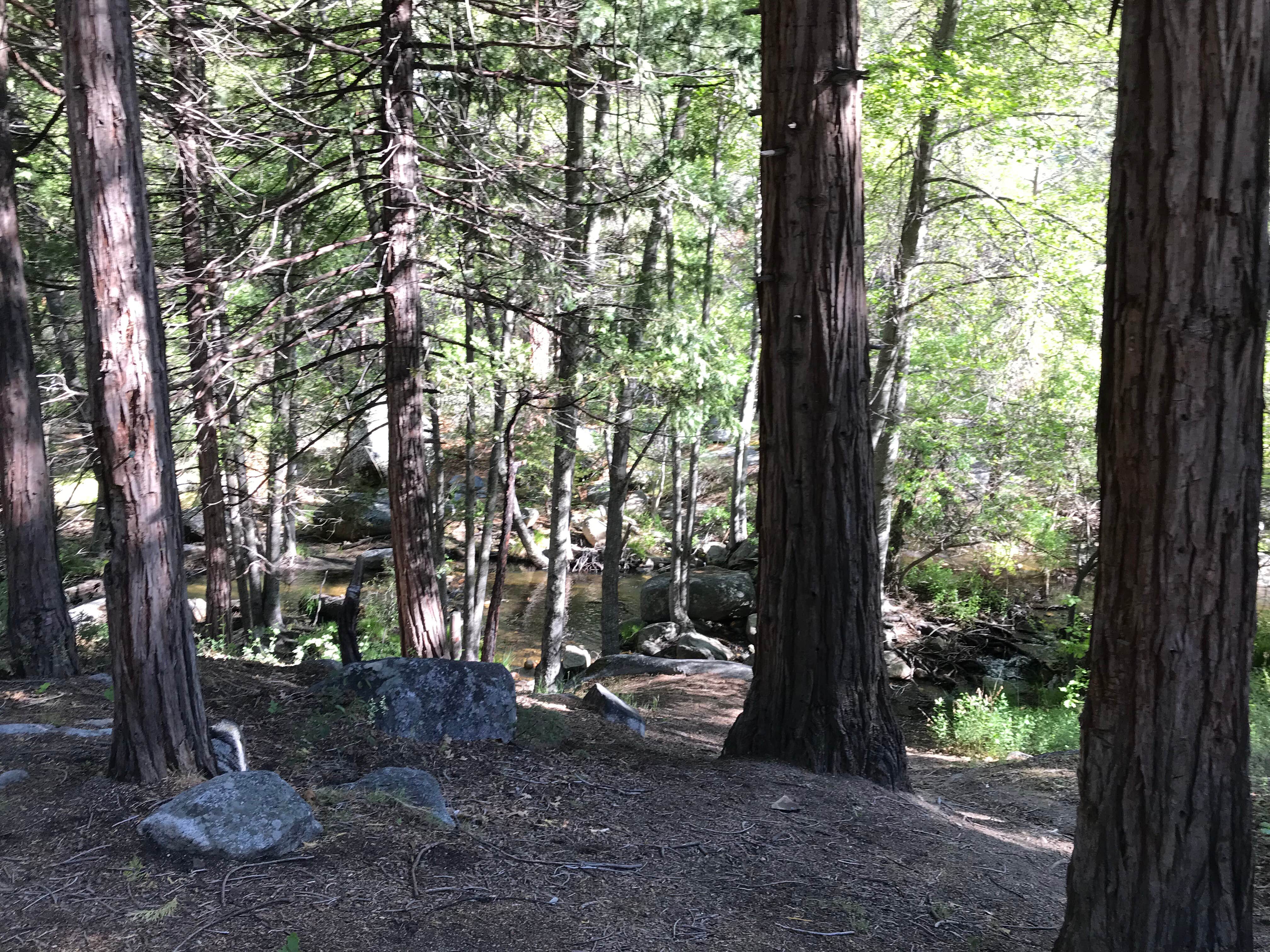 Camper-submitted photo at Camp 2 Dispersed Camping near Porterville, CA