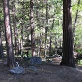 Review photo of Camp 2 Dispersed Camping  by Jessica P., May 25, 2020