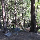 Review photo of Camp 2 Dispersed Camping by Jessica P., May 25, 2020