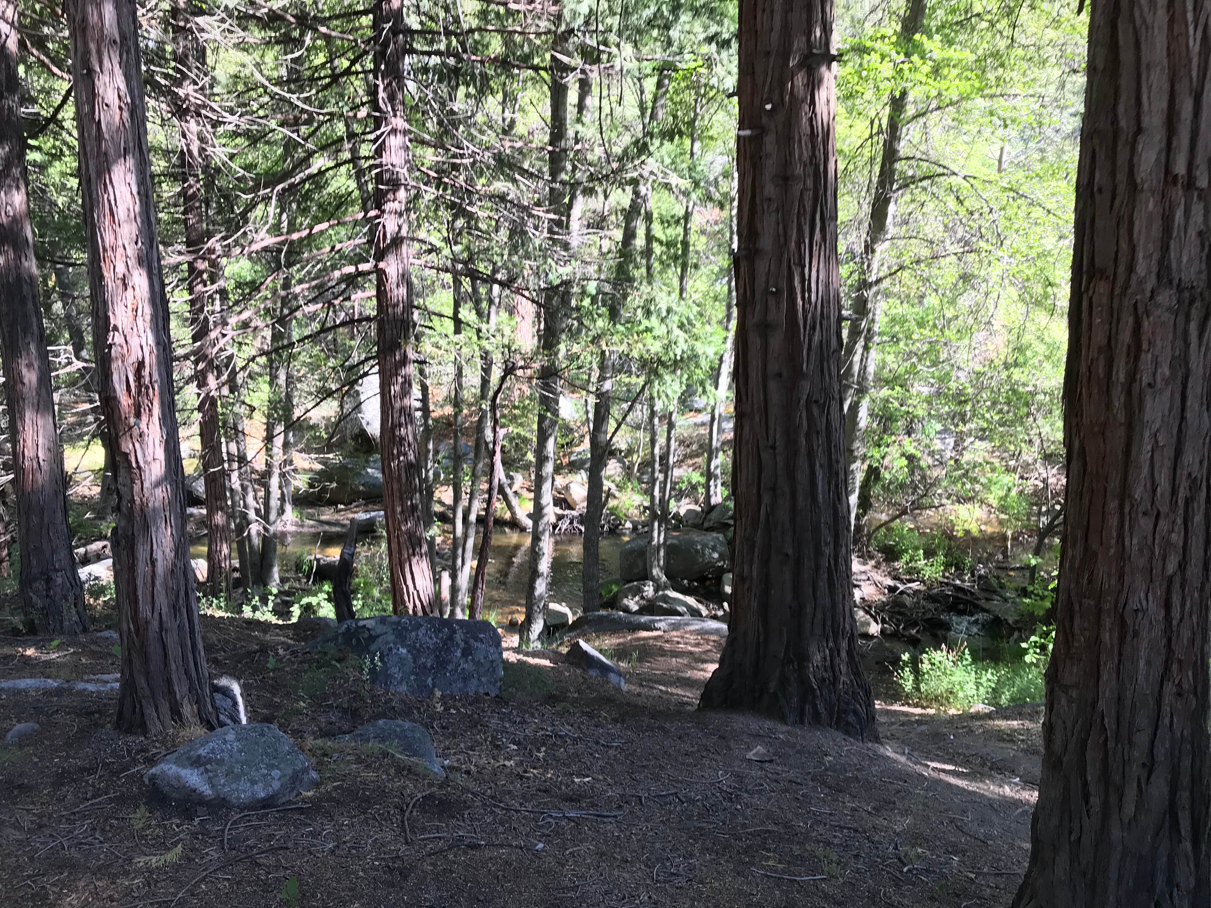 Camper-submitted photo at Camp 2 Dispersed Camping near Porterville, CA