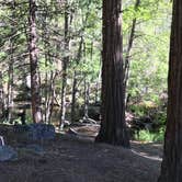 Review photo of Camp 2 Dispersed Camping by Jessica P., May 25, 2020