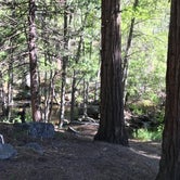 Review photo of Camp 2 Dispersed Camping  by Jessica P., May 25, 2020