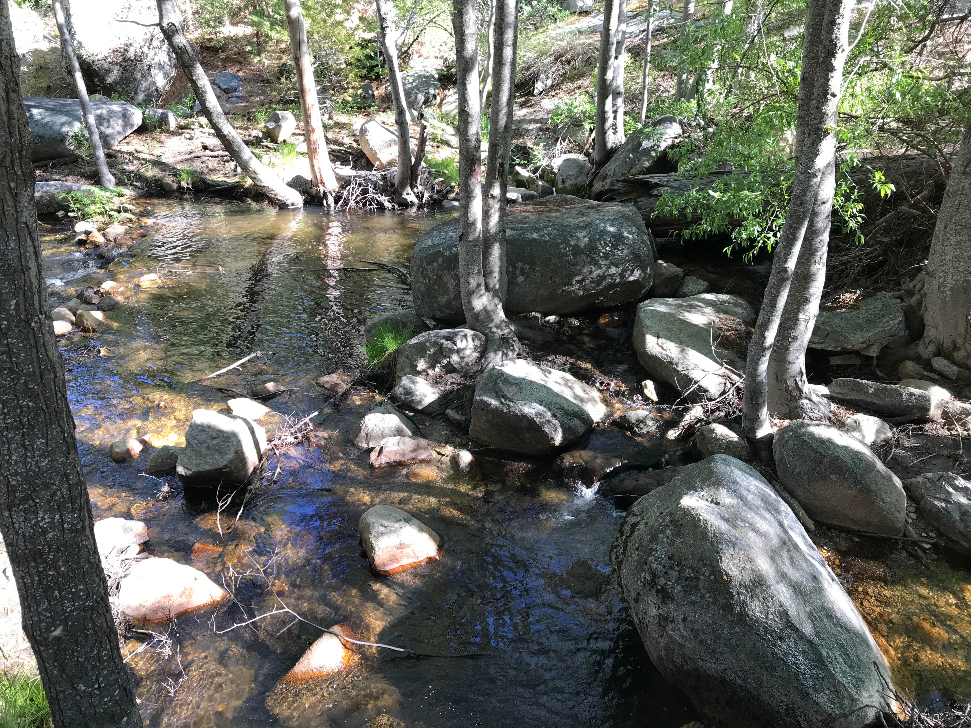 Camper-submitted photo at Camp 2 Dispersed Camping near Porterville, CA