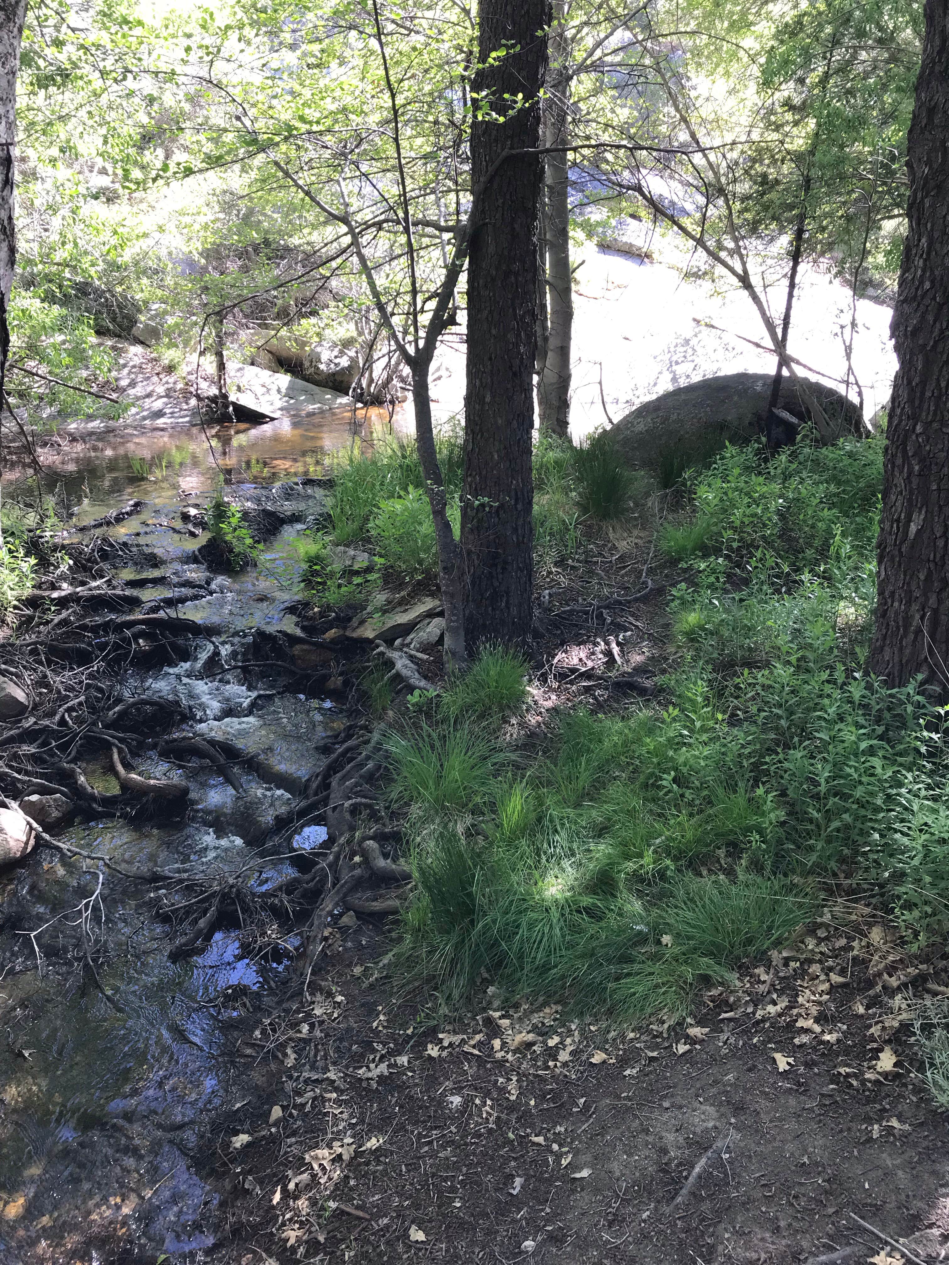 Camper-submitted photo at Camp 2 Dispersed Camping near Porterville, CA