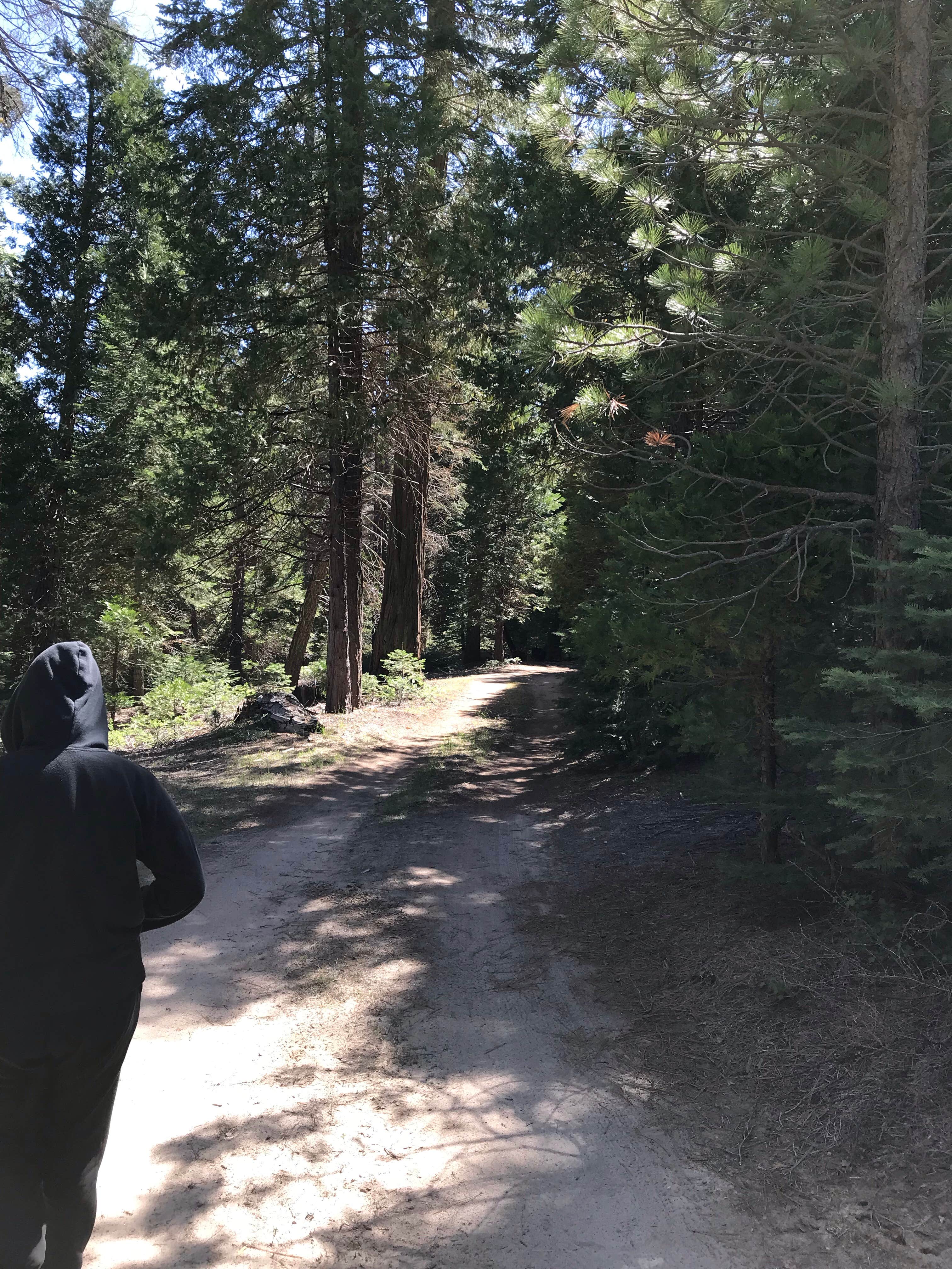 Camper-submitted photo at Dispersed Camp near Sequoia National Park near Sequoia National Forest