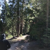 Review photo of Dispersed Camp near Sequoia National Park by Jessica P., May 25, 2020