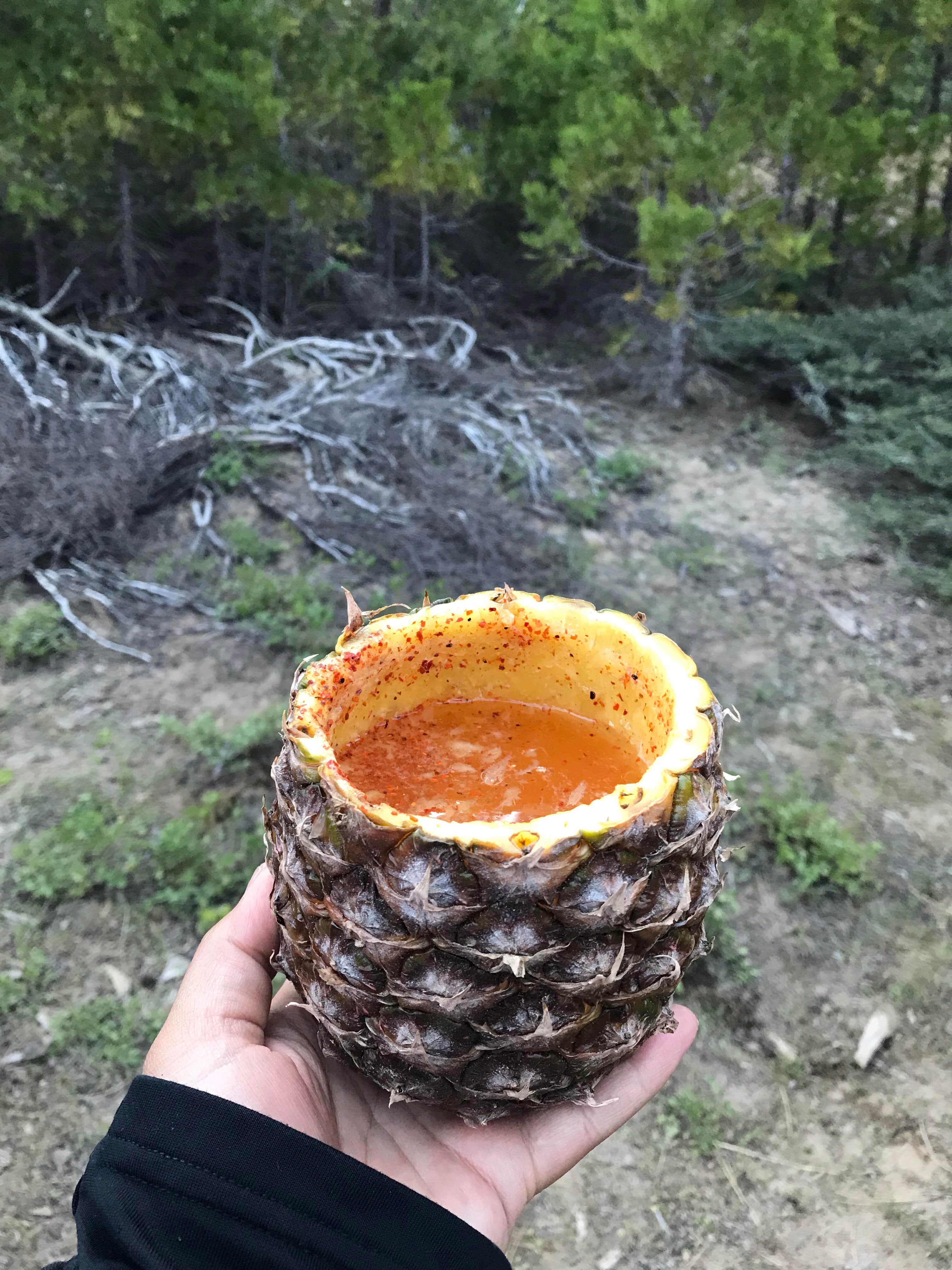 Camper-submitted photo at Dispersed Camp near Sequoia National Park near Sequoia National Forest