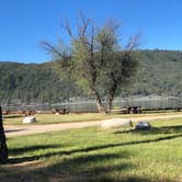 Review photo of Lake Hemet Campground by Marcella D., May 25, 2020