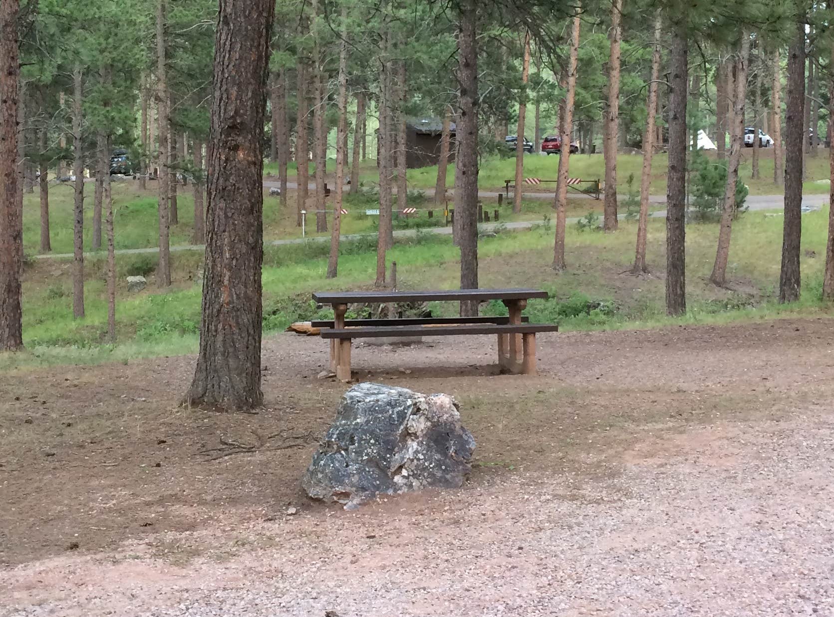 Camper submitted image from Pactola Reservoir Campground - 5