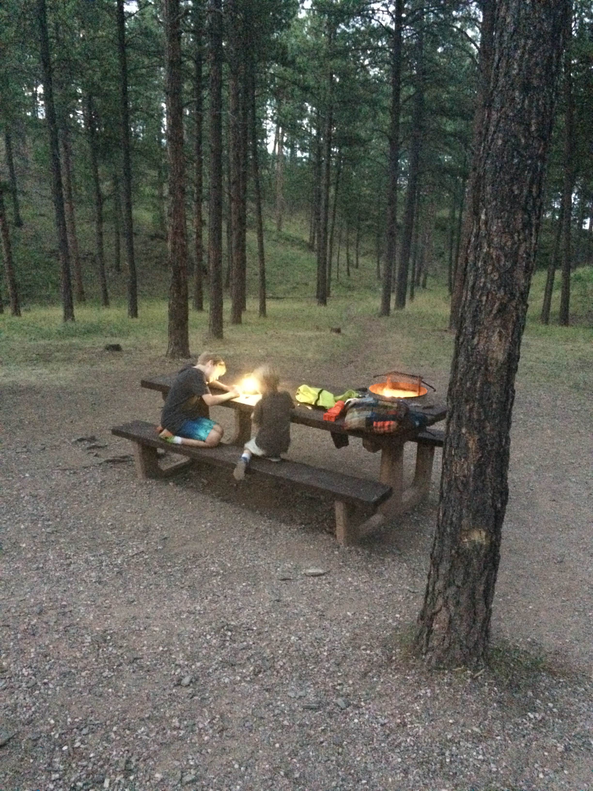 Camper submitted image from Pactola Reservoir Campground - 3