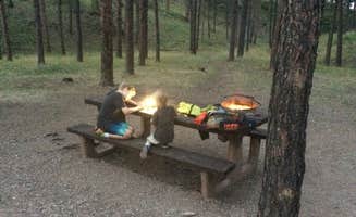 Corinna B.'s photo at Pactola Reservoir Campground near Piedmont, SD