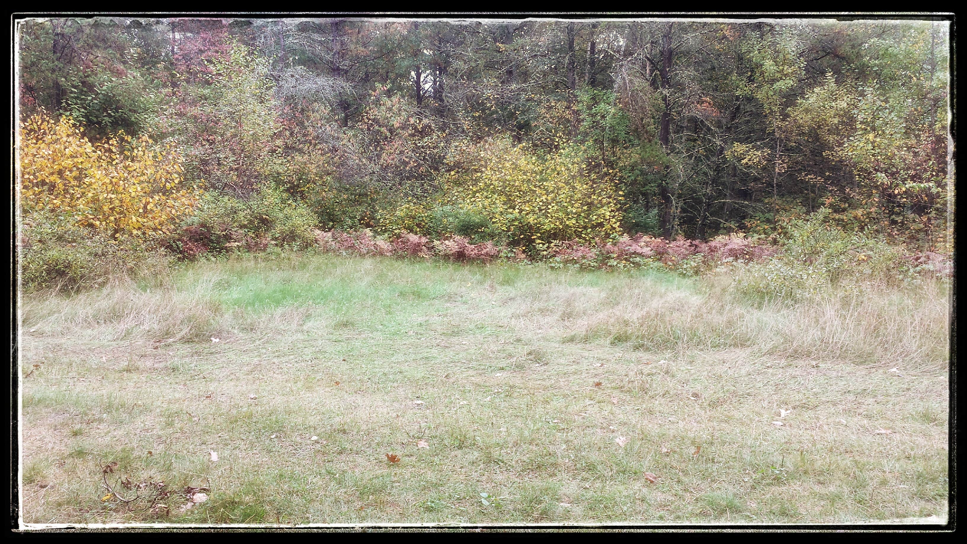 Camper-submitted photo at Shingobee Recreation Area near Blackduck, MN
