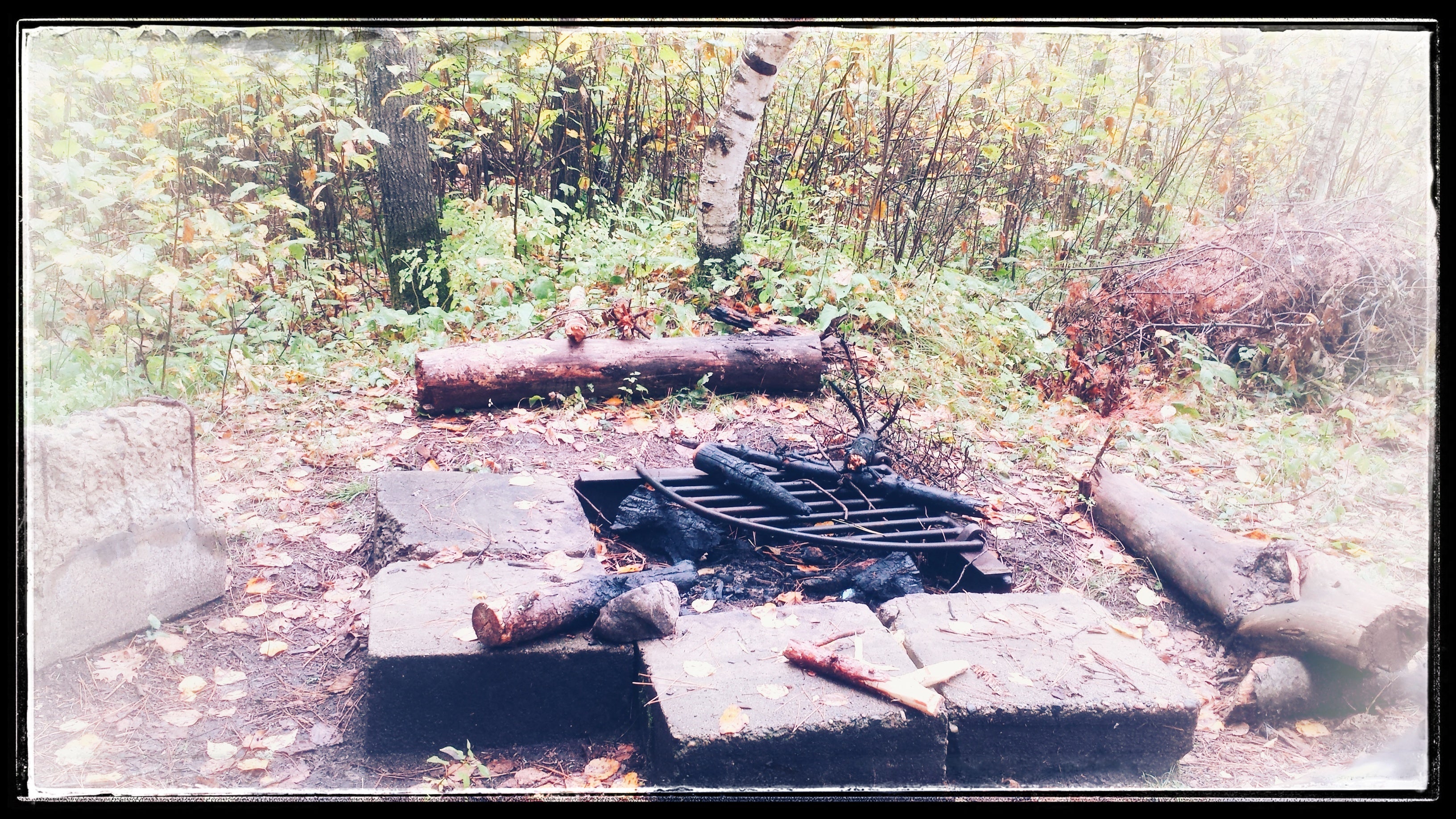 Fire pit with concrete slabs...great for camp stoves!