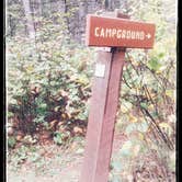 Review photo of Shingobee Recreation Area by Amy G., October 1, 2017