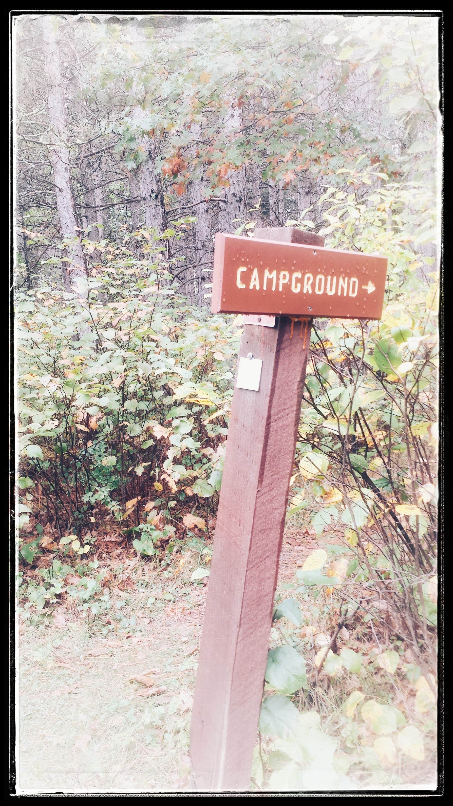 Camper submitted image from Shingobee Recreation Area - 1
