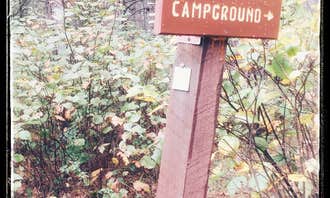 Camping near Woodtick Trail Dispersed Camp 1: Shingobee Recreation Area, Walker, Minnesota