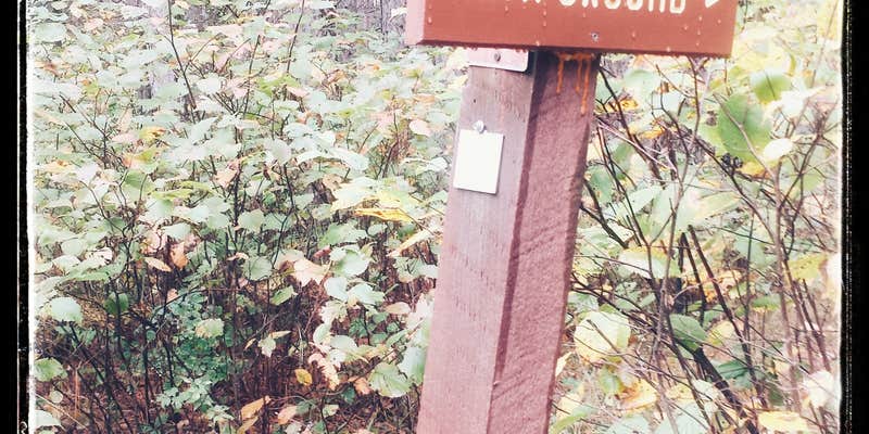 Camper submitted image from Shingobee Recreation Area