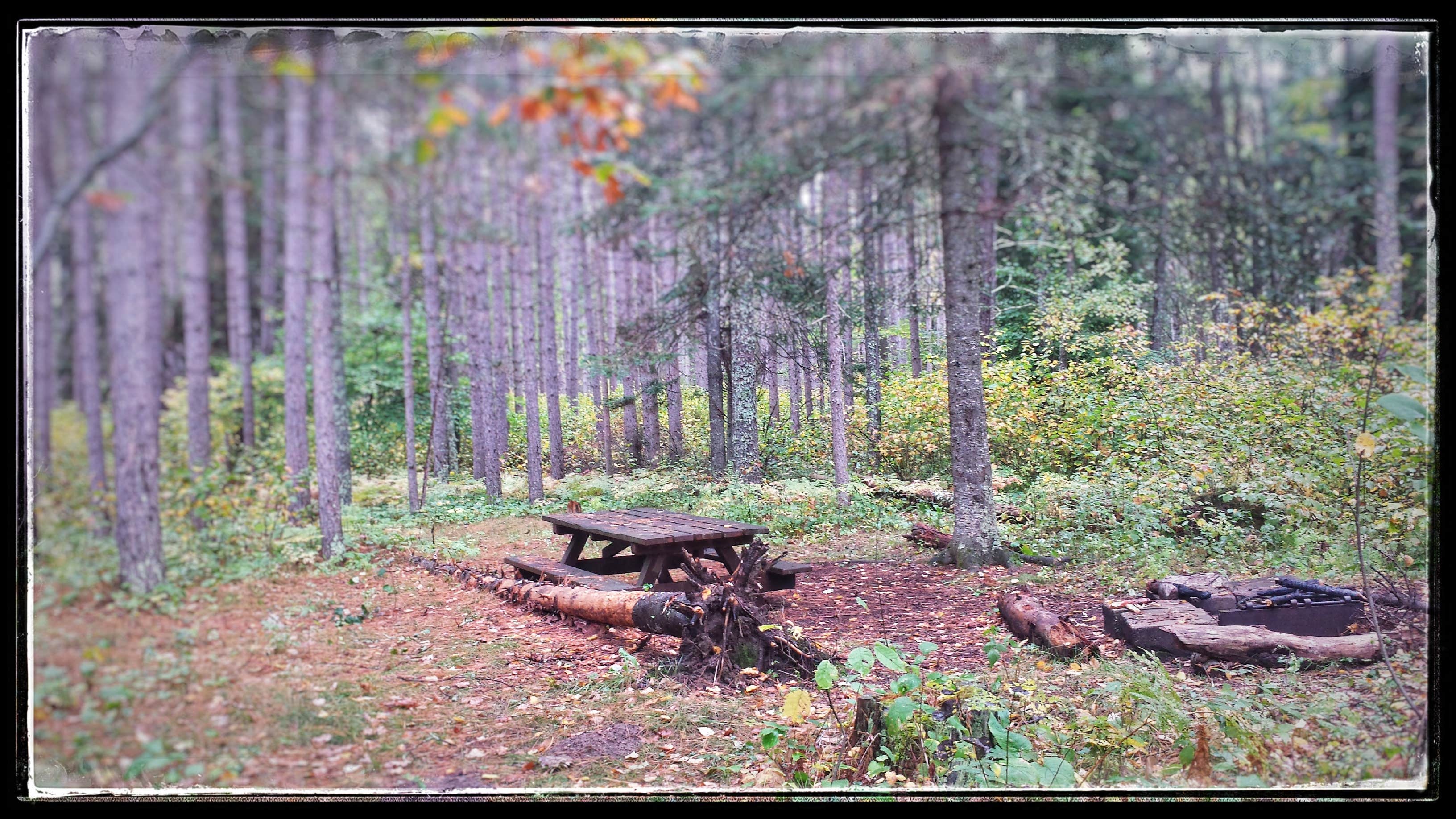 Camper-submitted photo at Shingobee Recreation Area near Blackduck, MN