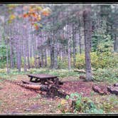 Review photo of Shingobee Recreation Area by Amy G., October 1, 2017