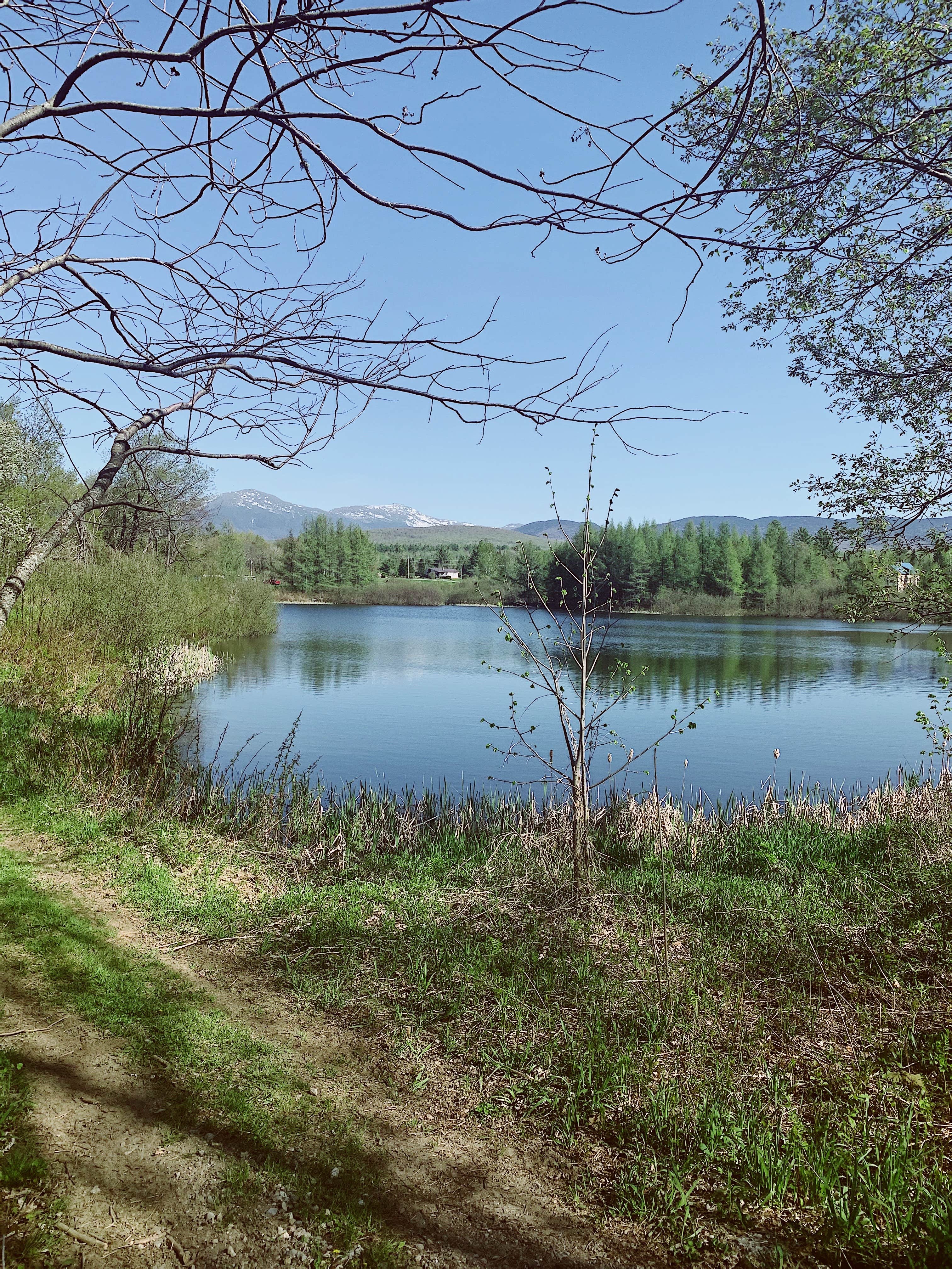 Camper submitted image from Israel River Campground - 2