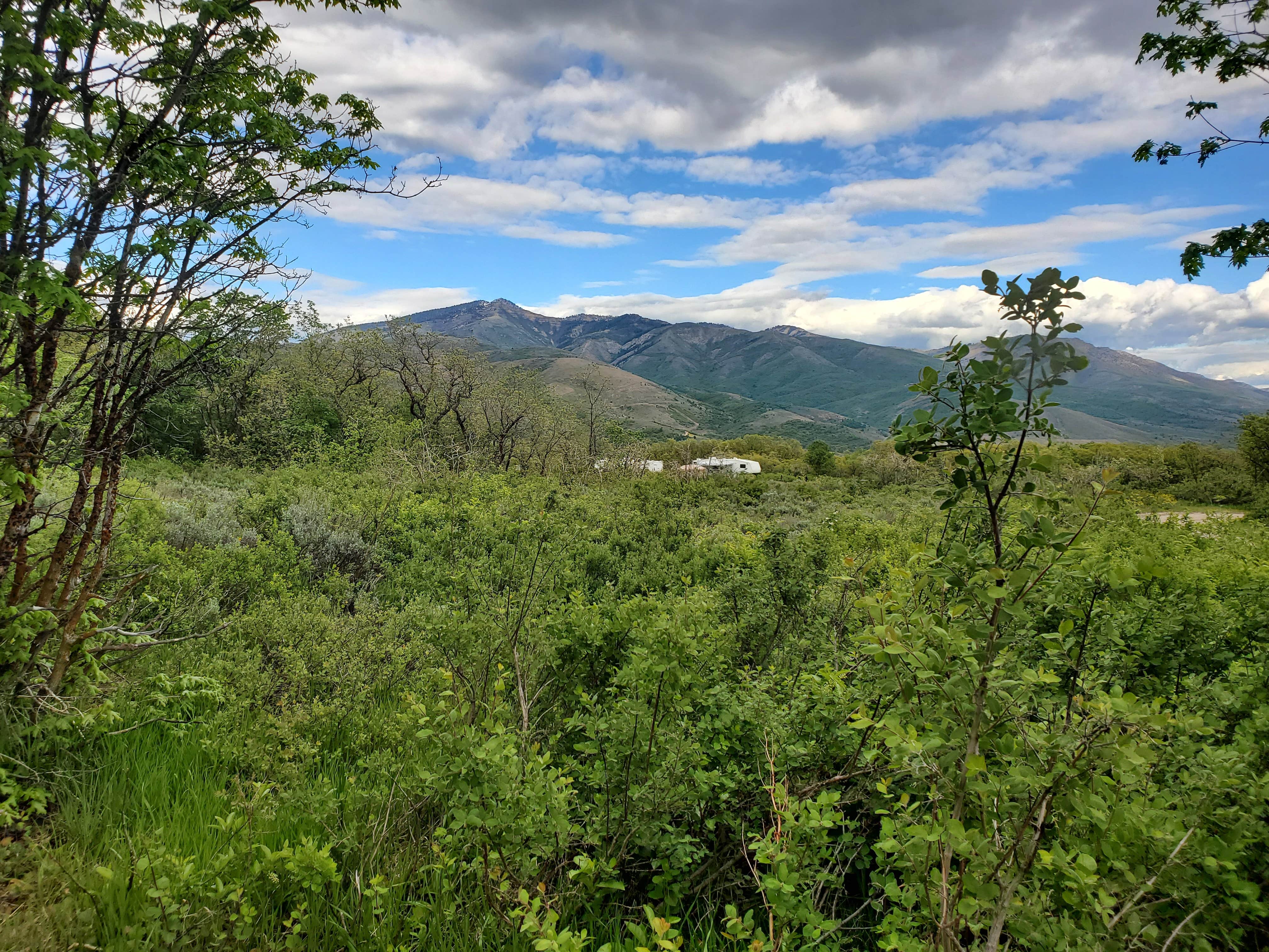 Camper-submitted photo at North Fork County Park near Evanston, WY