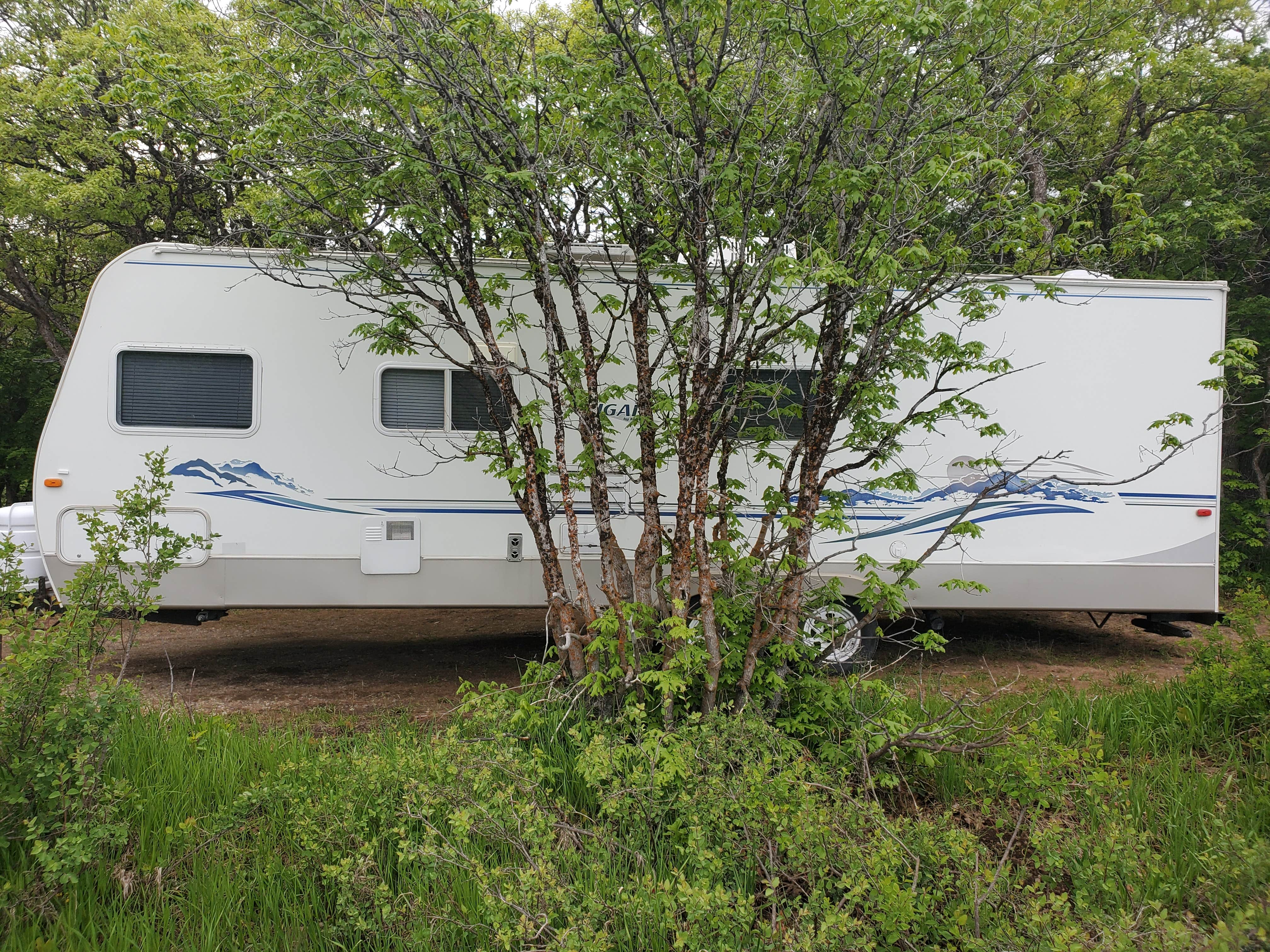 Camper submitted image from North Fork County Park - 4