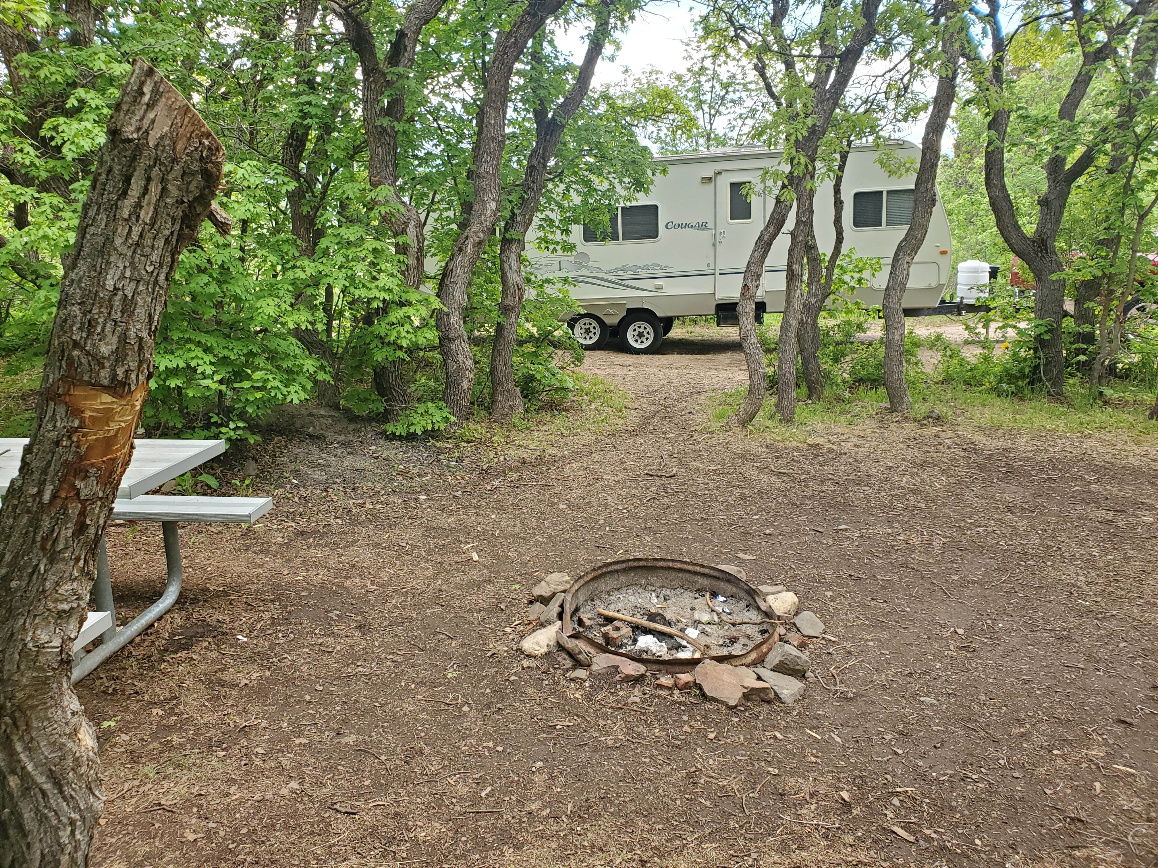 Camper submitted image from North Fork County Park - 4