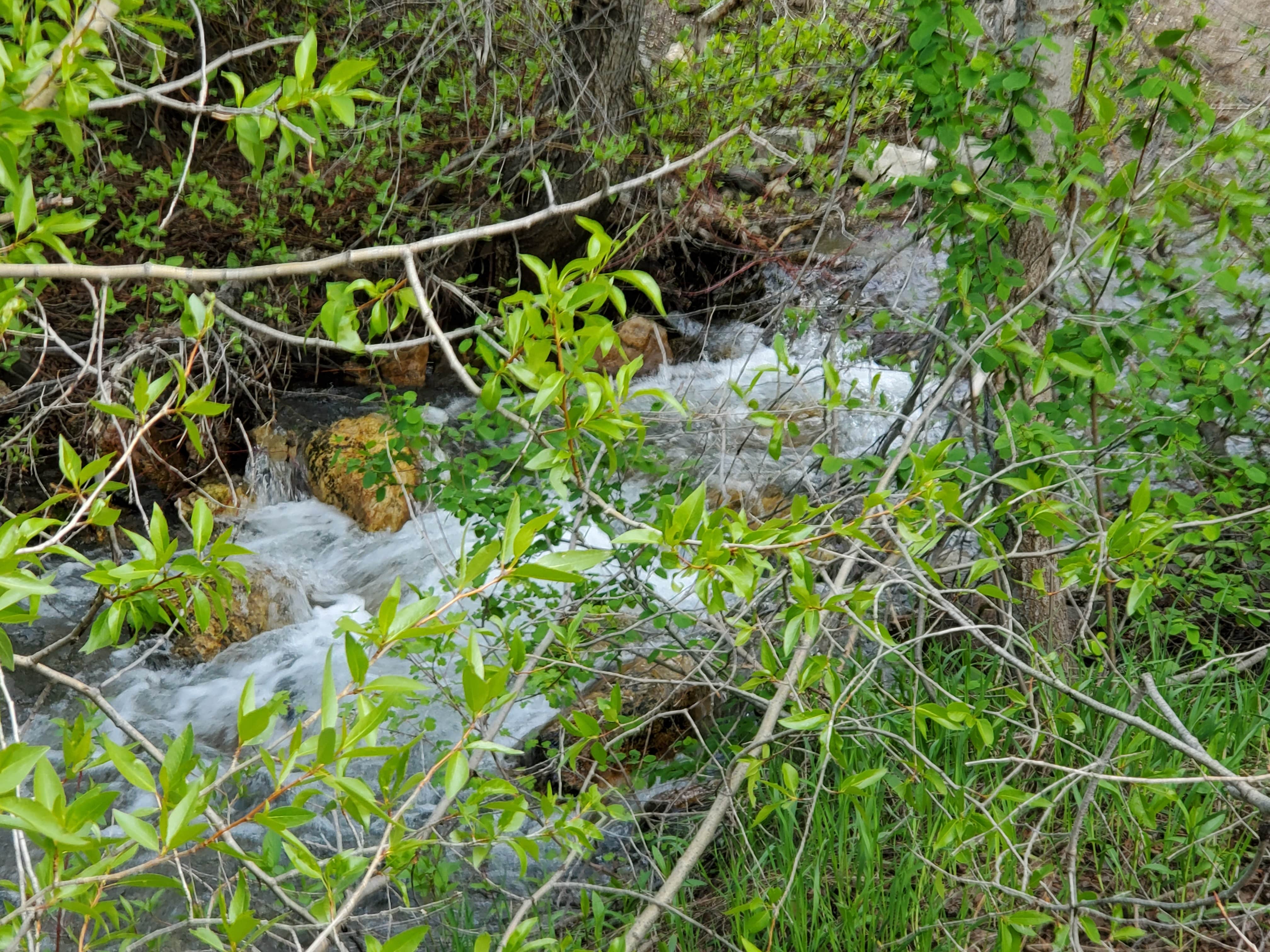 Camper-submitted photo at North Fork County Park near Evanston, WY