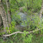 Review photo of North Fork County Park by Jared , May 25, 2020