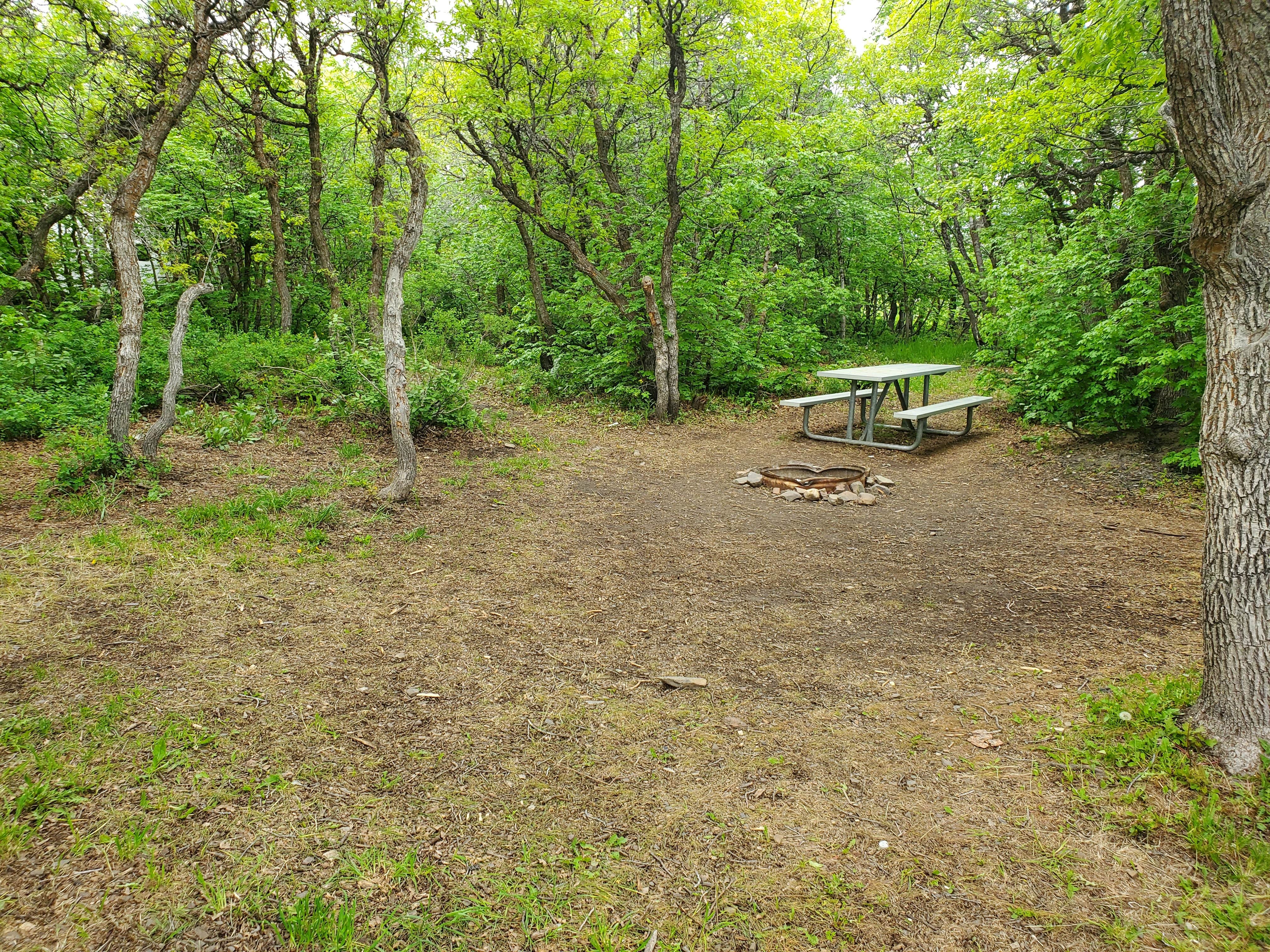 Camper-submitted photo at North Fork County Park near Evanston, WY