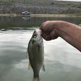 Review photo of Greenbelt Lake Kincaid Park by Lucas F., May 25, 2020