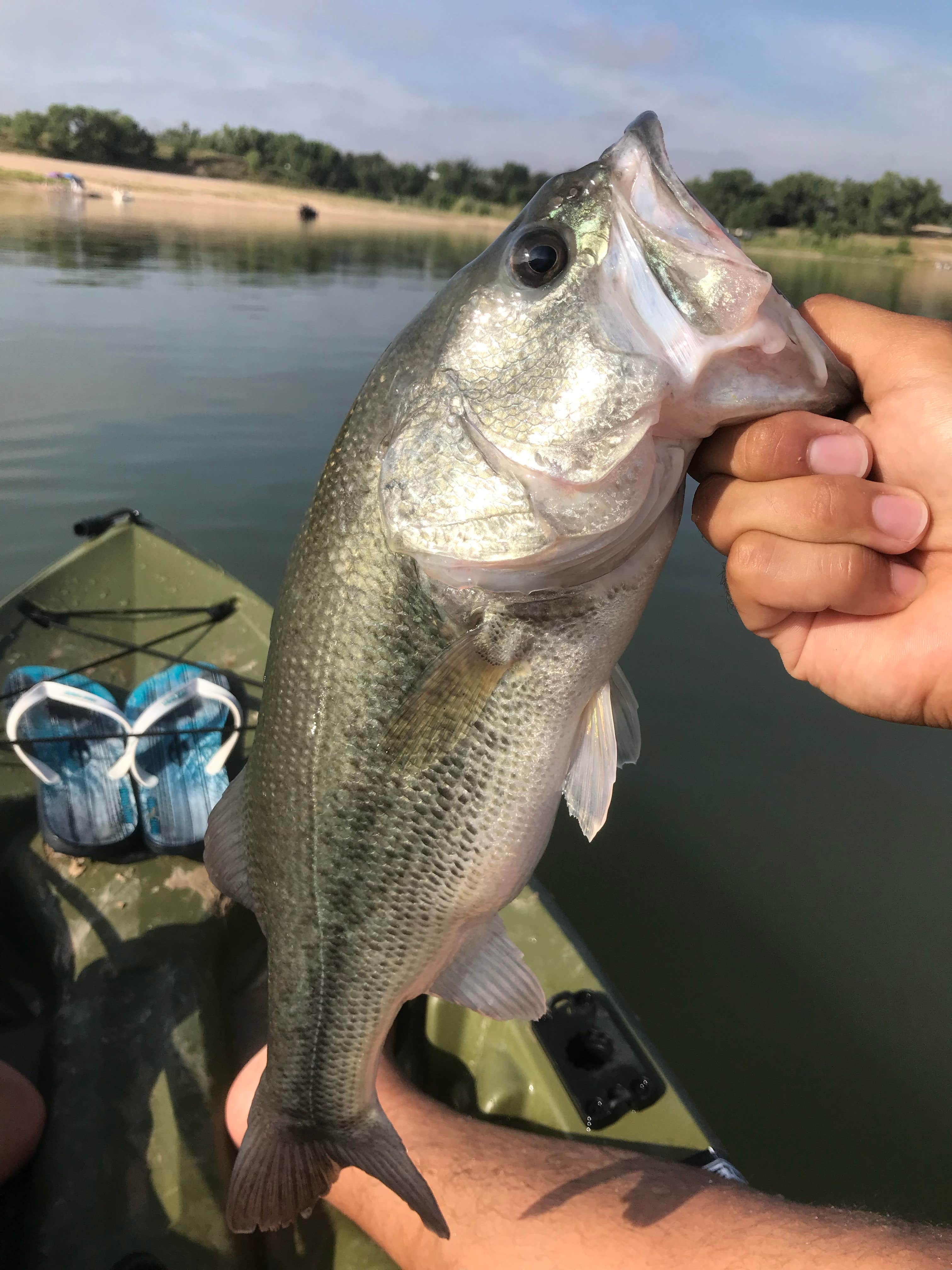 Camper submitted image from Greenbelt Lake Kincaid Park - 1