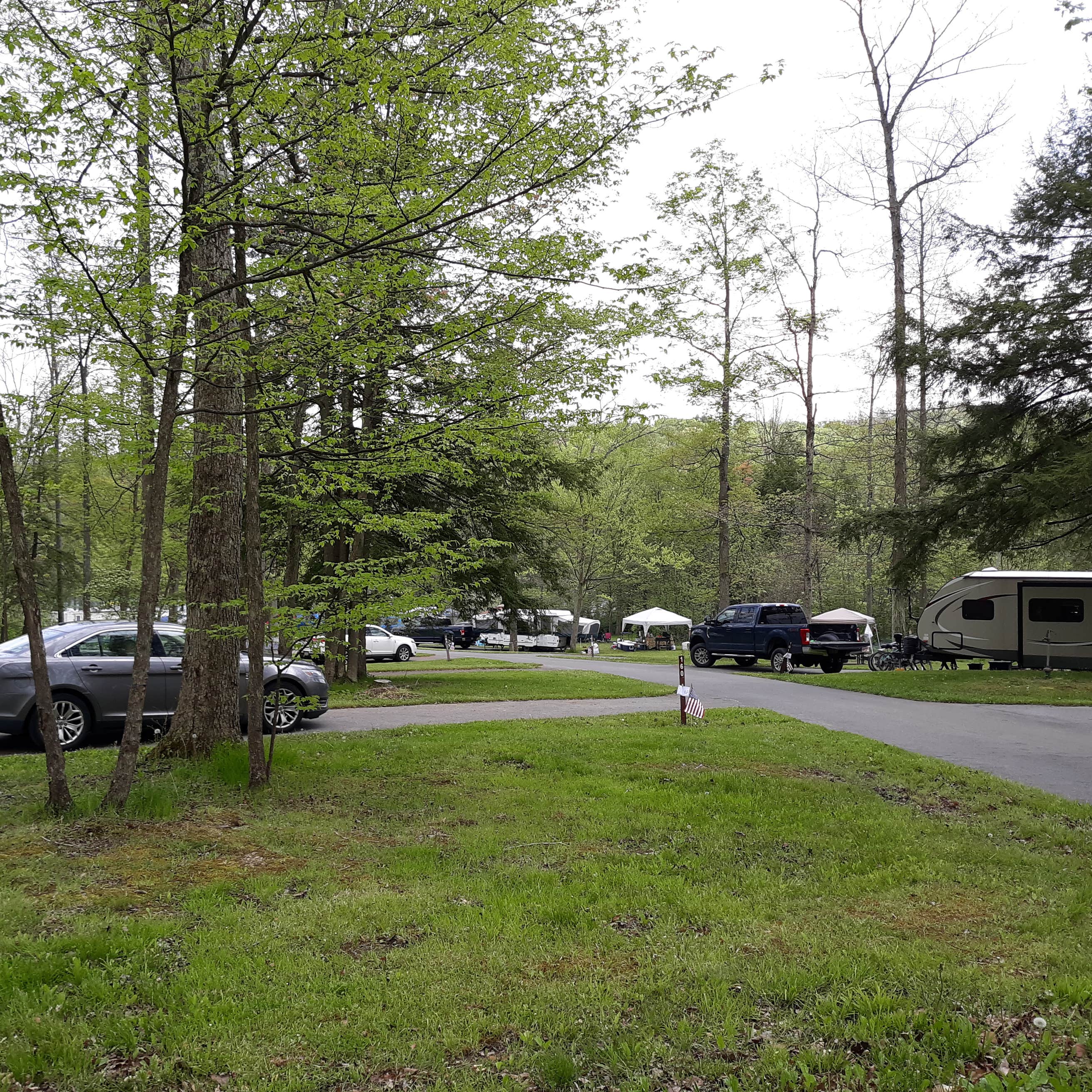 Prince Gallitzin State Park Crooked Run Campground Camping The Dyrt