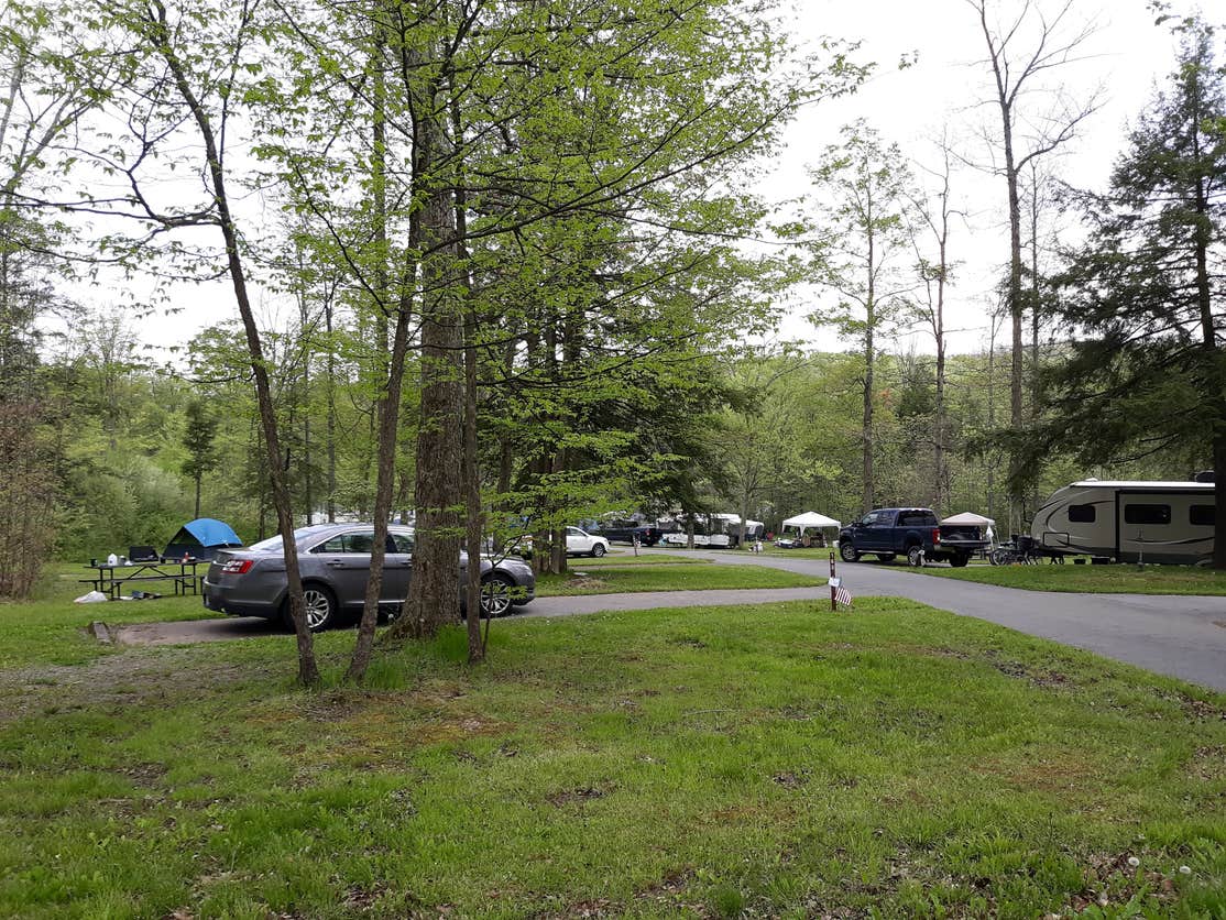 Prince Gallitzin State Park Crooked Run Campground Camping The Dyrt