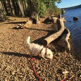 Review photo of Lake of The Woods Resort by Carter B., May 25, 2020