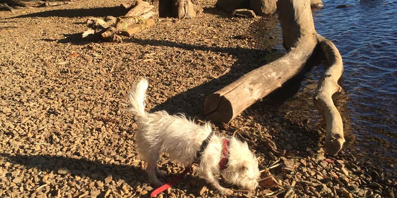 Camper submitted image from Lake of The Woods Resort