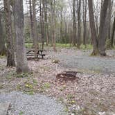 Review photo of S.B. Elliott State Park Campground by Danielle S., May 25, 2020