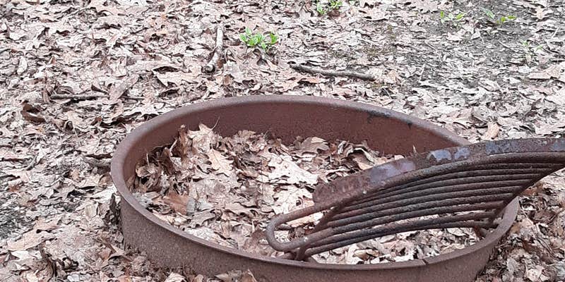 Camper submitted image from Simon B. Elliott State Park Campground