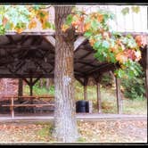 Review photo of Akeley City Campground by Amy G., October 1, 2017