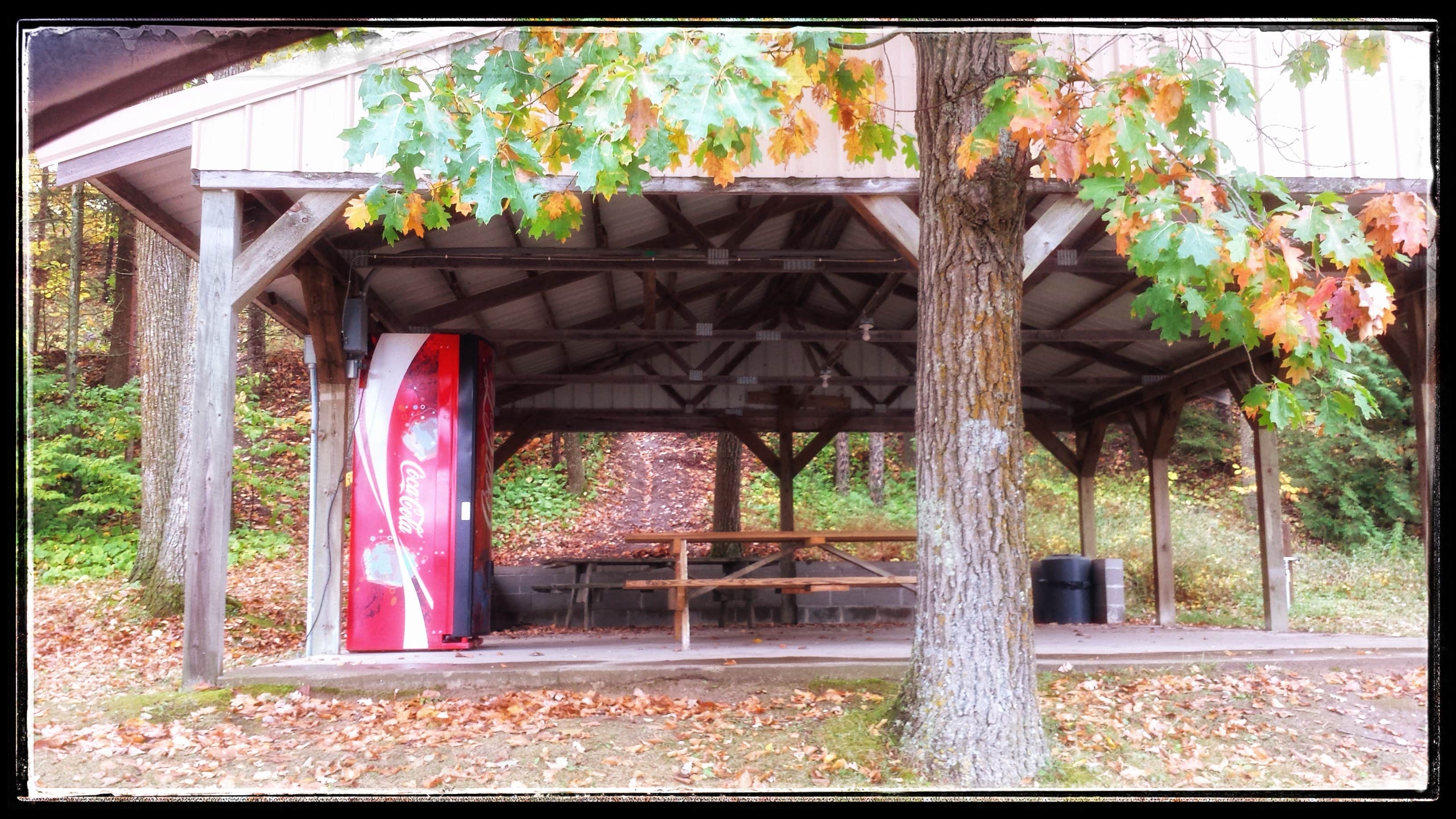Camper submitted image from Akeley City Campground - 1