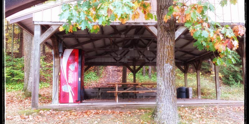 Camper submitted image from Akeley City Campground