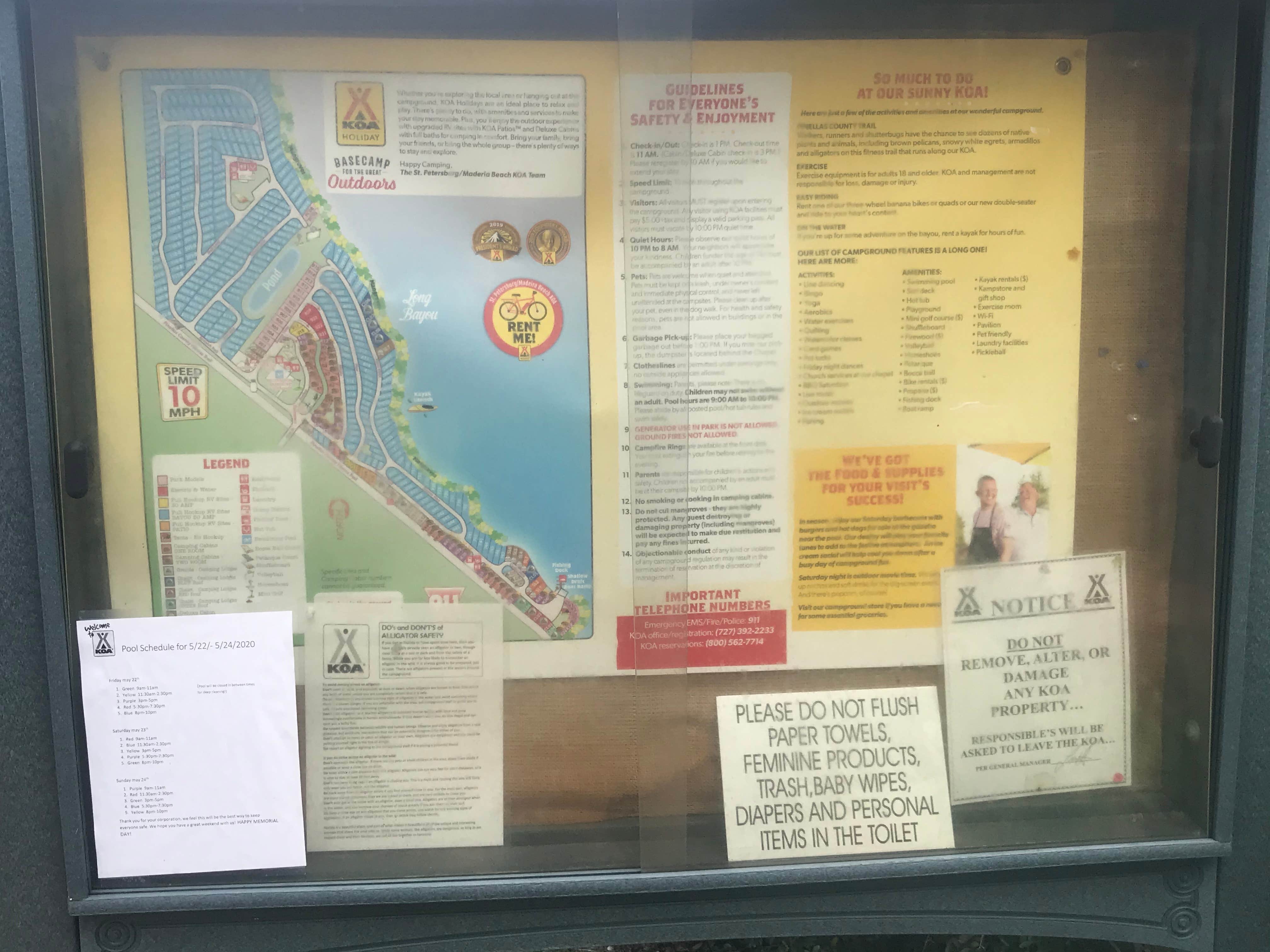 Camper submitted image from St. Petersburg-Madeira Beach KOA Holiday - 5