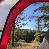 Review photo of Homestake Road Dispersed - CO by Nathan G., May 25, 2020