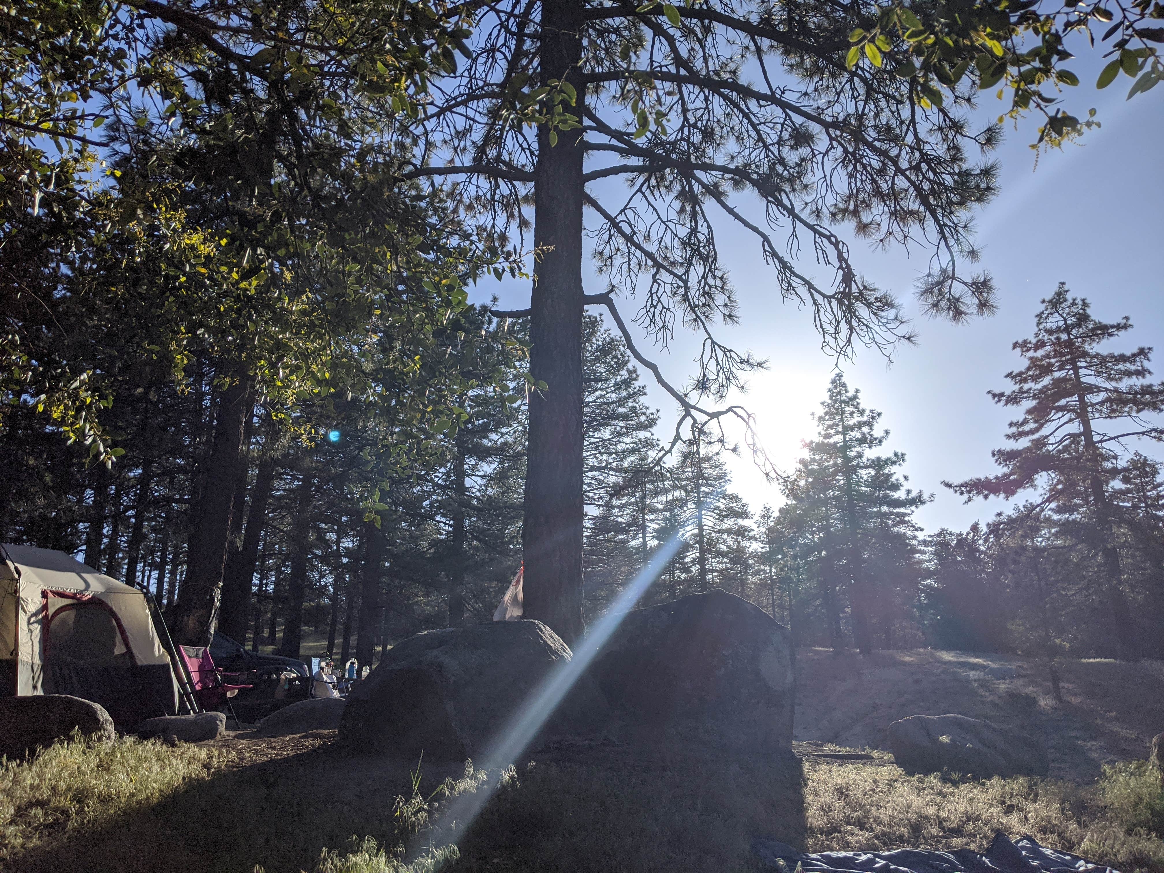 Adam C.'s photo of tent camping at Ramona Campground near Lake Elsinore, CA