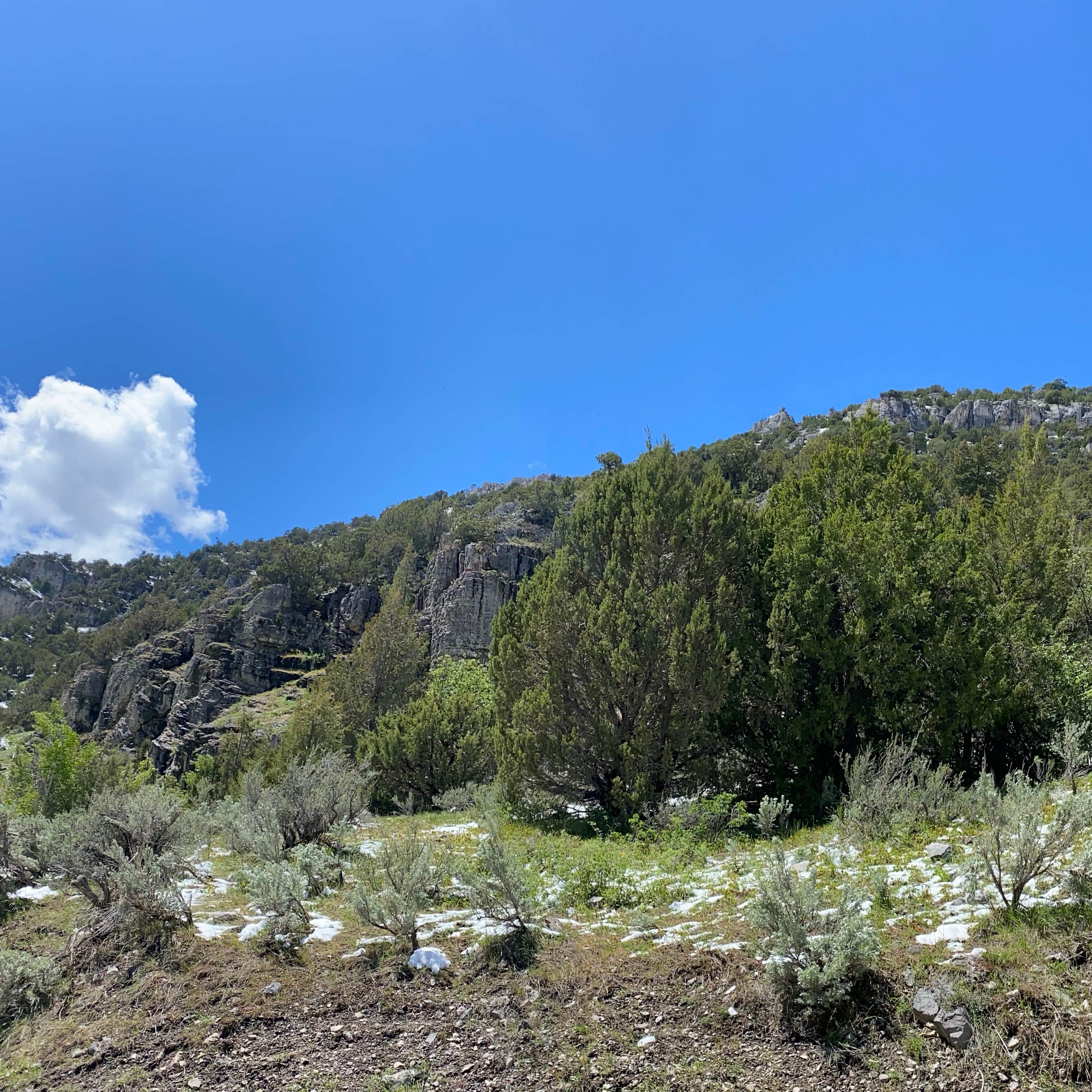 Wolverine Canyon Camping The Dyrt