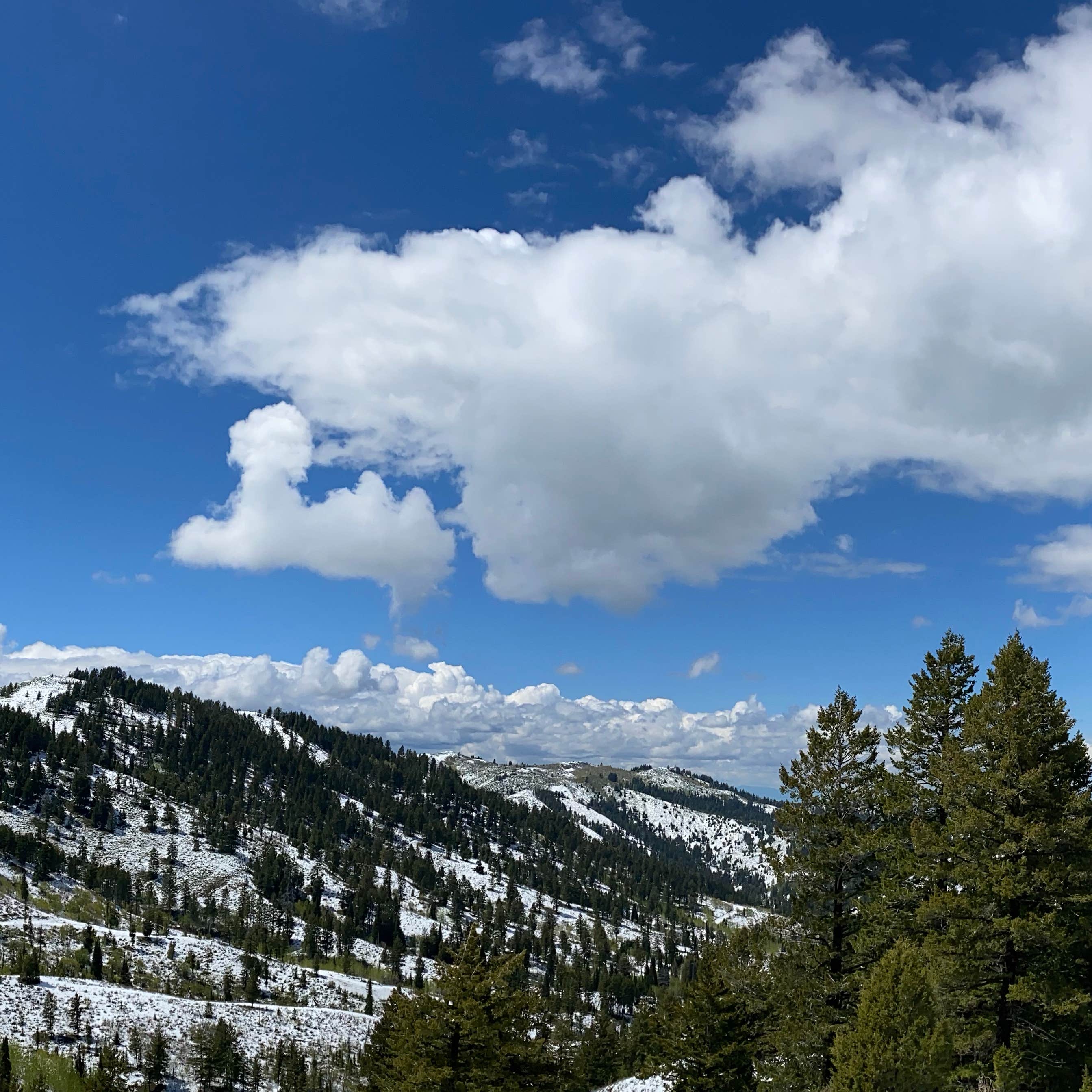 Wolverine Canyon Camping The Dyrt