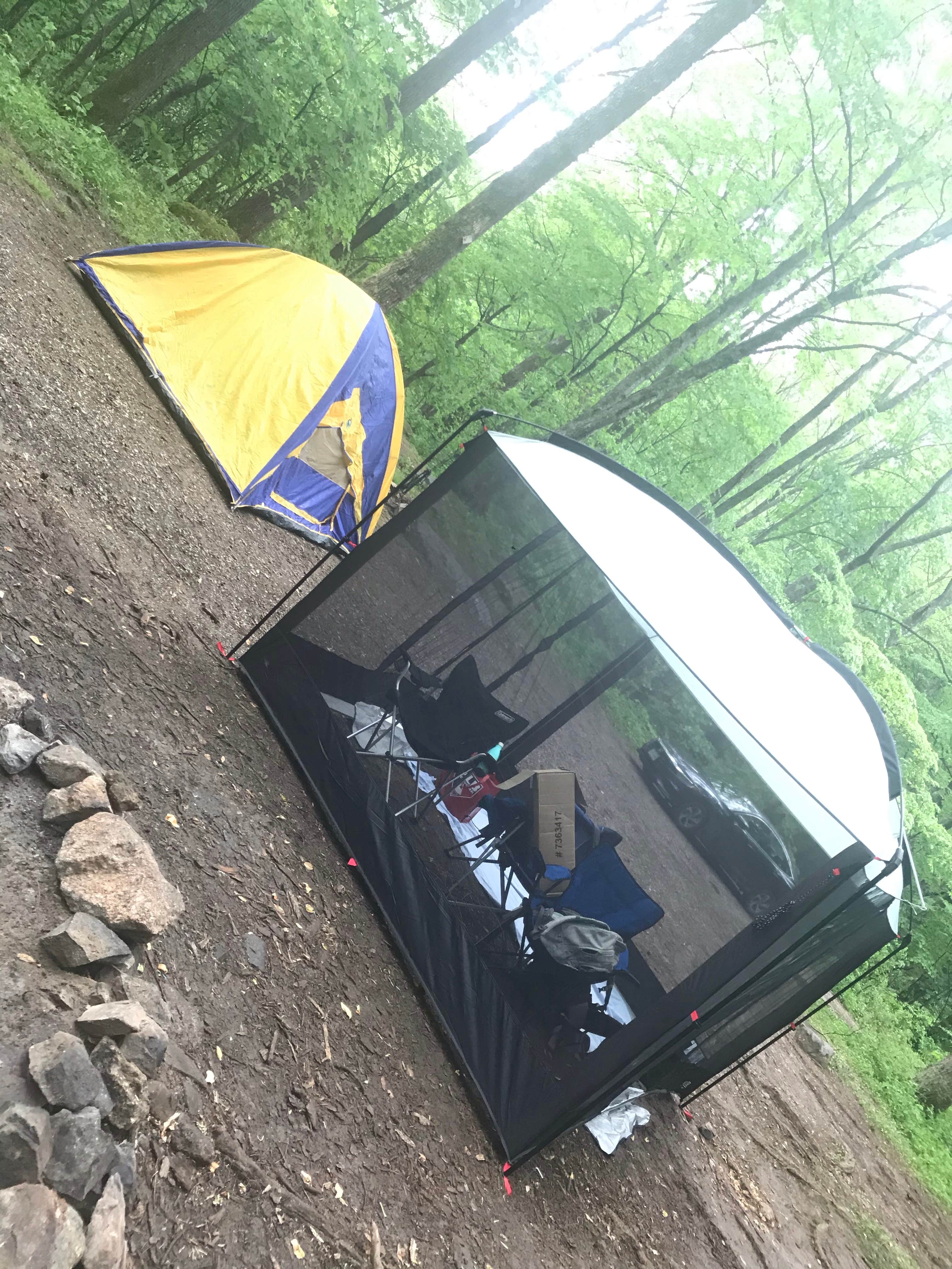 Aakansha J.'s photo at Crabtree Falls Campground near Vesuvius, VA