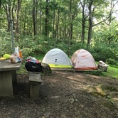 Review photo of Otter Creek Campground — Blue Ridge Parkway by Aakansha J., May 26, 2020
