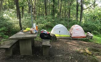 Aakansha J.'s photo at Otter Creek Campground — Blue Ridge Parkway near Monroe, VA